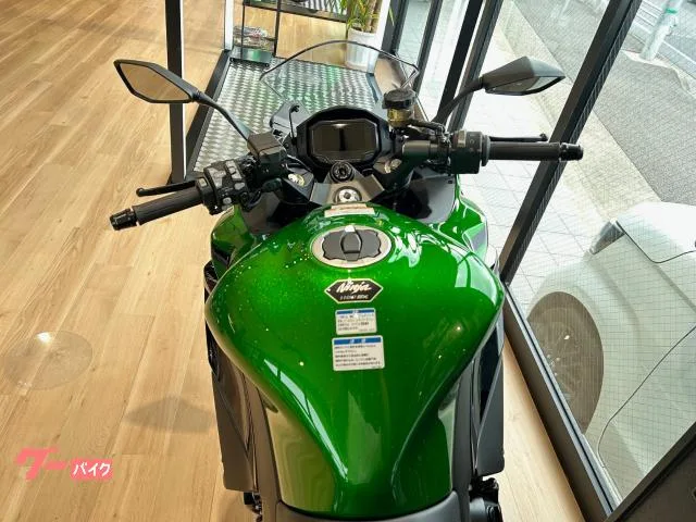 Kawasaki Ninja 1100 SX SE OHLINS BREMBO ETC 2025 — миниатюра 3