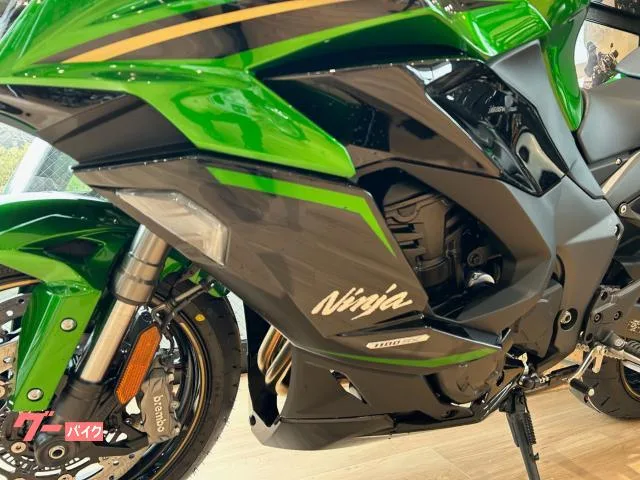 Kawasaki Ninja 1100 SX SE OHLINS BREMBO ETC 2025 — миниатюра 5