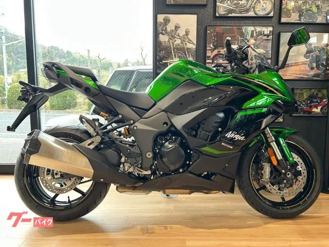 Kawasaki Ninja 1100 SX SE OHLINS BREMBO ETC 2025 — фото 1, купить с доставкой в Москву