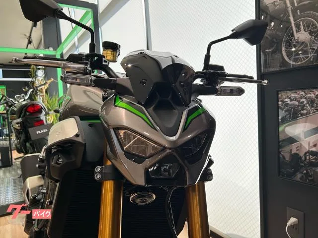 Kawasaki Z900 SE OHLINS BREMBO ETC 2025 — миниатюра 3