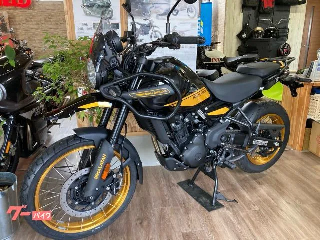 ROYAL ENFIELD 450 2024 — миниатюра 2