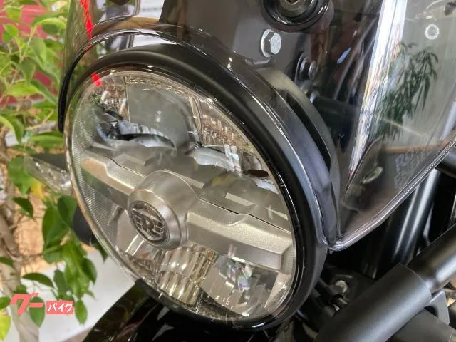 ROYAL ENFIELD 450 2024 — миниатюра 3
