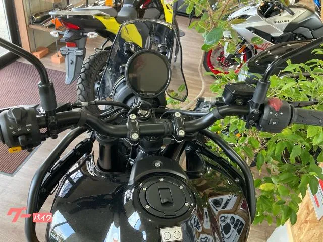 ROYAL ENFIELD 450 2024 — миниатюра 4