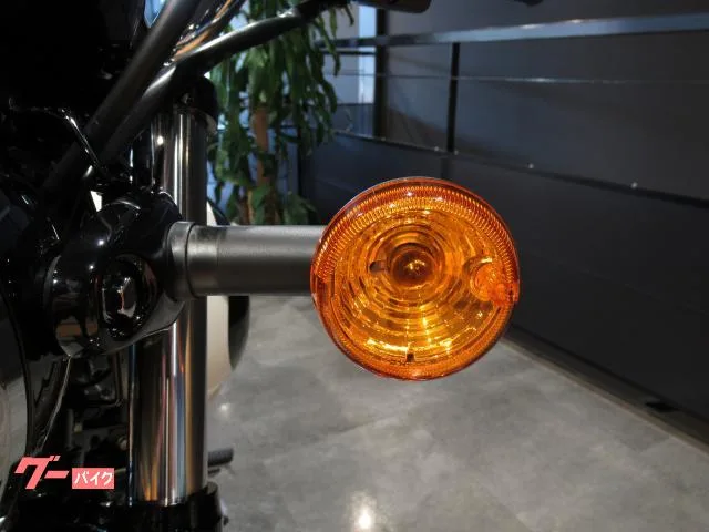 Kawasaki W230 2025 21 2025 — миниатюра 4