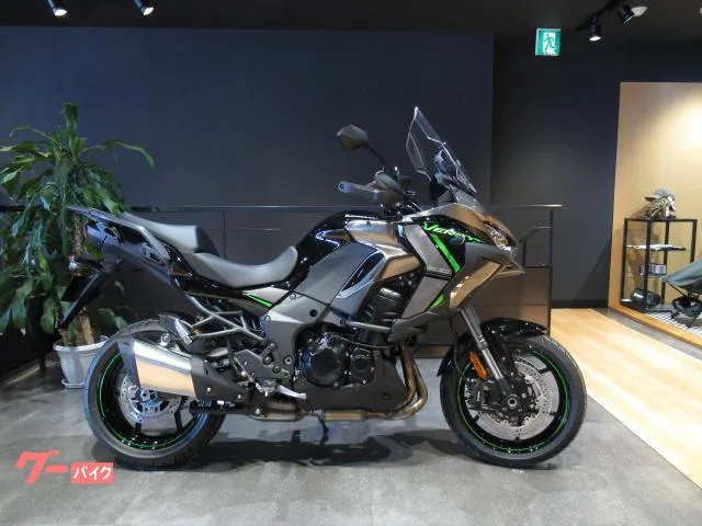 Kawasaki Versys 1100 SE 2025 — фото 1, купить с доставкой в Москву