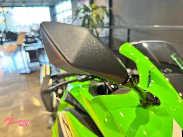 Kawasaki Ninja ZX-4RR 21 2026 — миниатюра 3