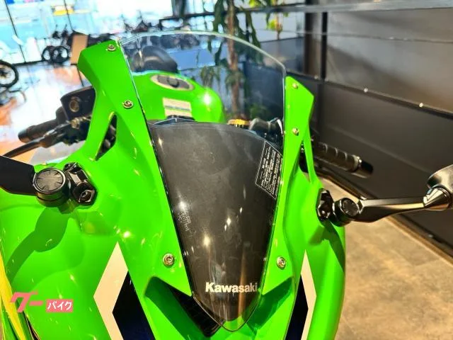 Kawasaki Ninja ZX-4RR 21 2026 — миниатюра 4