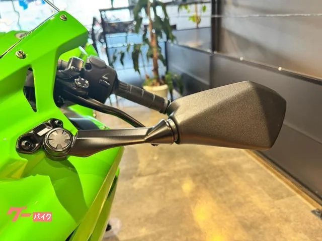 Kawasaki Ninja ZX-4RR 21 2026 — миниатюра 5