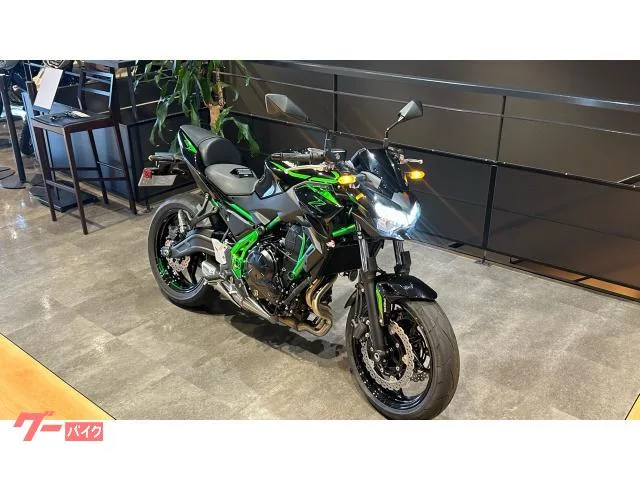 Kawasaki Z650 2025 — миниатюра 2