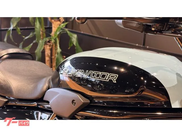 Kawasaki 400SE 2025 — миниатюра 2