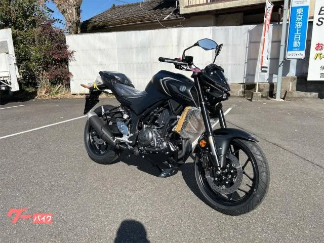 Yamaha MT-25 RG95J 2025 — миниатюра 2