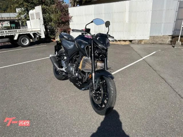 Yamaha MT-25 RG95J 2025 — миниатюра 3