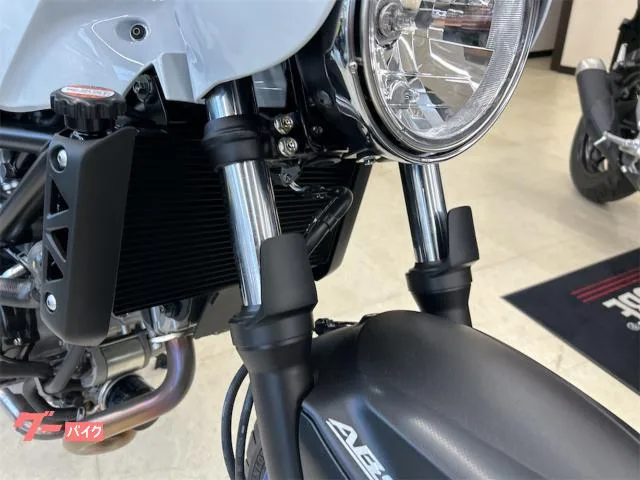 Suzuki SV650X 2025 — миниатюра 5