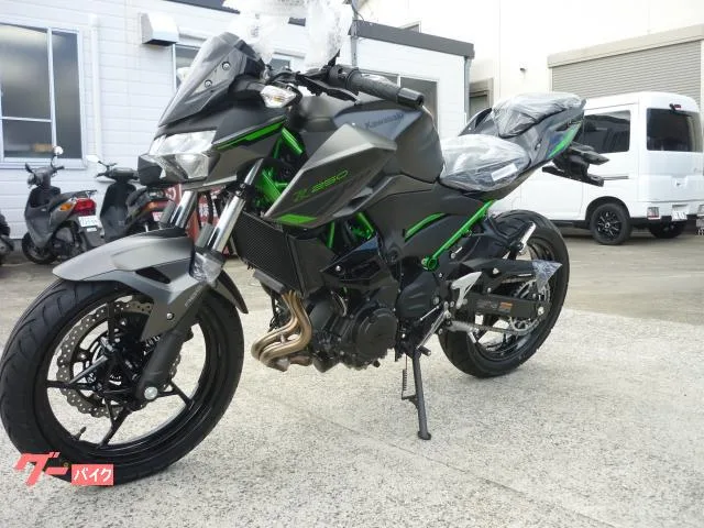 Kawasaki Z250 2024 — миниатюра 2