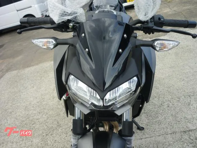 Kawasaki Z250 2024 — миниатюра 3