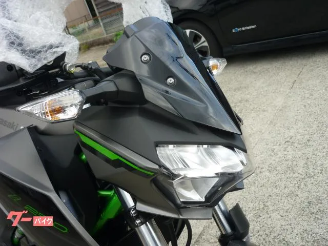 Kawasaki Z250 2024 — миниатюра 4