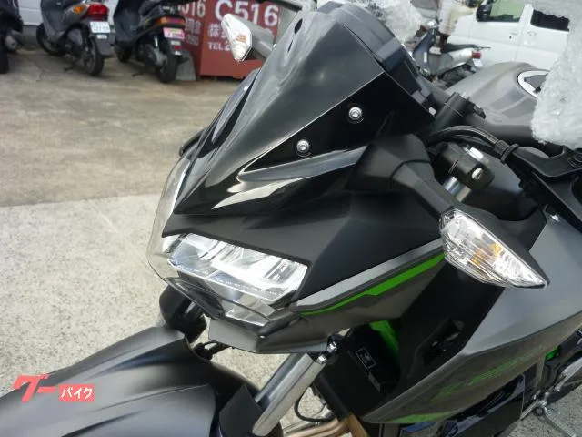 Kawasaki Z250 2024 — миниатюра 5