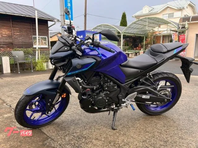 Yamaha MT-25 ETC 2022 — миниатюра 2
