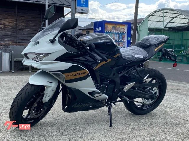 Kawasaki Ninja ZX-4R SE 2026 — миниатюра 2