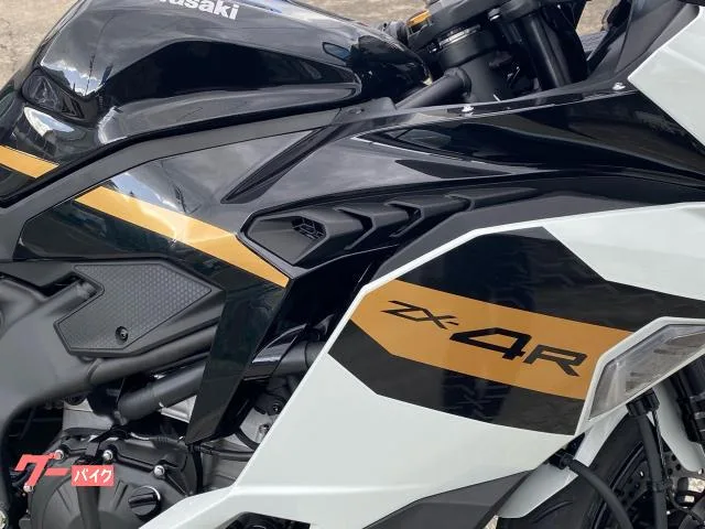Kawasaki Ninja ZX-4R SE 2026 — миниатюра 4