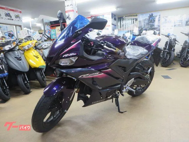 Yamaha YZF-R25 2023 — миниатюра 2