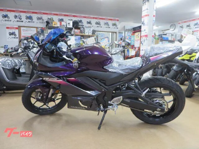 Yamaha YZF-R25 2023 — миниатюра 3