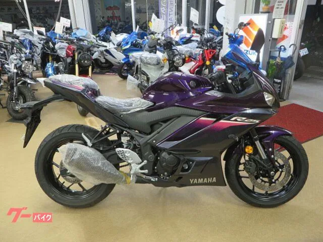 Yamaha YZF-R25 2023 — миниатюра 4