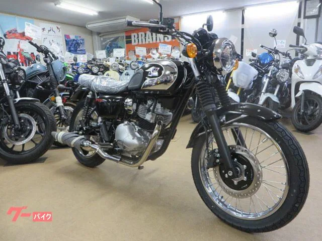 Kawasaki S1 2026 — фото 1, купить с доставкой в Москву