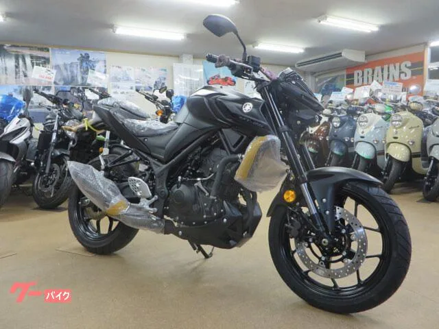 Yamaha MT-25 2024 — миниатюра 2
