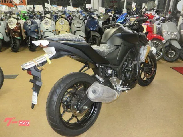 Yamaha MT-25 2024 — миниатюра 3