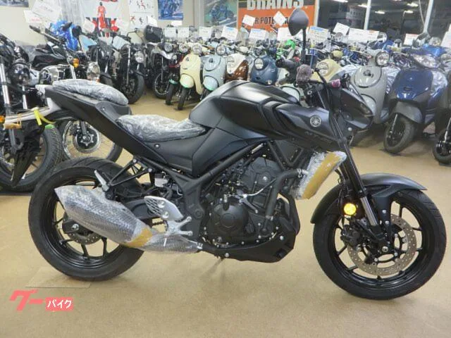 Yamaha MT-25 2024 — миниатюра 5