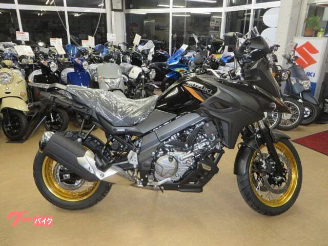 Suzuki V- 650XT 2025 — миниатюра 4