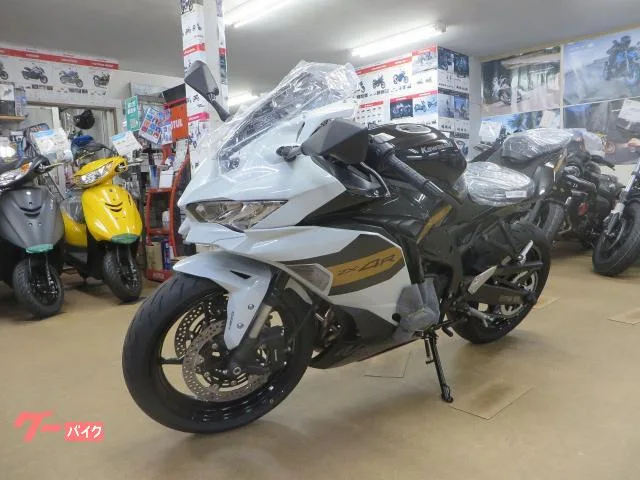 Kawasaki Ninja ZX-4R SE 2026 — миниатюра 2