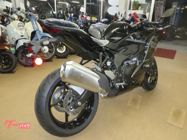 Kawasaki Ninja ZX-4R SE 2026 2026 — миниатюра 2