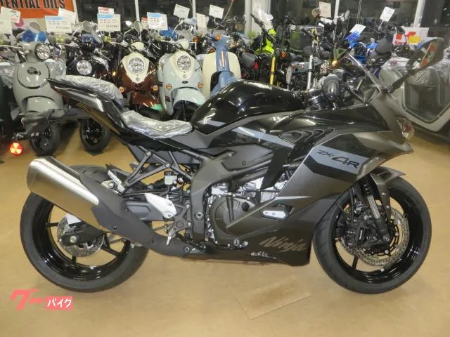 Kawasaki Ninja ZX-4R SE 2026 2026 — миниатюра 4