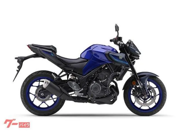 Yamaha MT-25ABS RG95J NEW 35 3 2025 — миниатюра 2