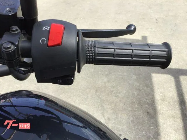 Kawasaki W175 ABS 5MT 2023 — миниатюра 3