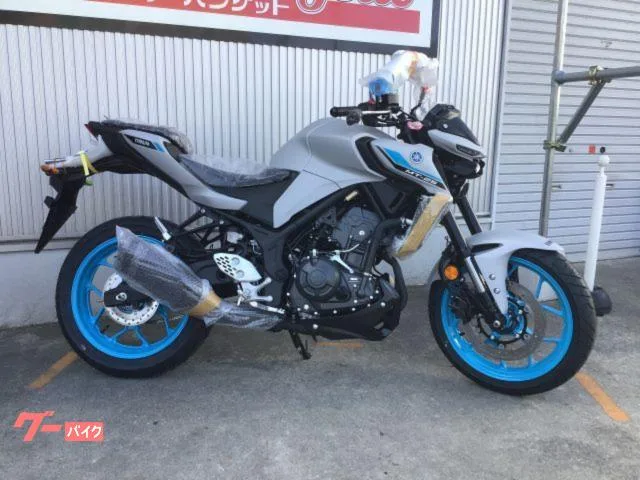 Yamaha MT-25 2025 RG95J Y-Connect USB 3 2025 — миниатюра 5