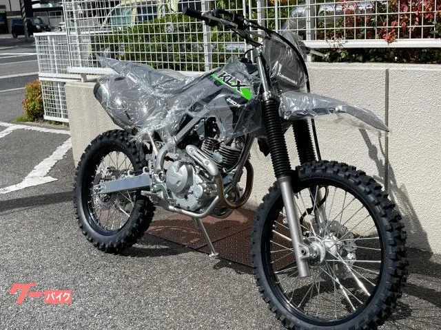 Kawasaki KLX230R 2024MY - 2024 — миниатюра 2