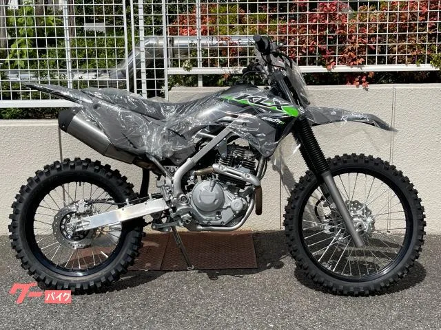 Kawasaki KLX230R S 2024MY - 2024 — фото 1, купить с доставкой в Москву