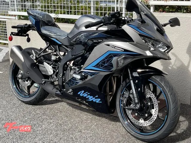 Kawasaki Ninja ZX-25R SE 2024MY 4.3TFT 2024 — миниатюра 2