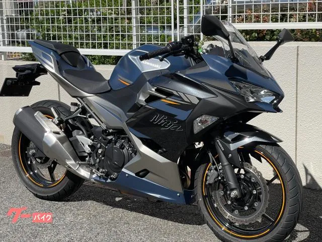 Kawasaki Ninja 250 2023 — миниатюра 2