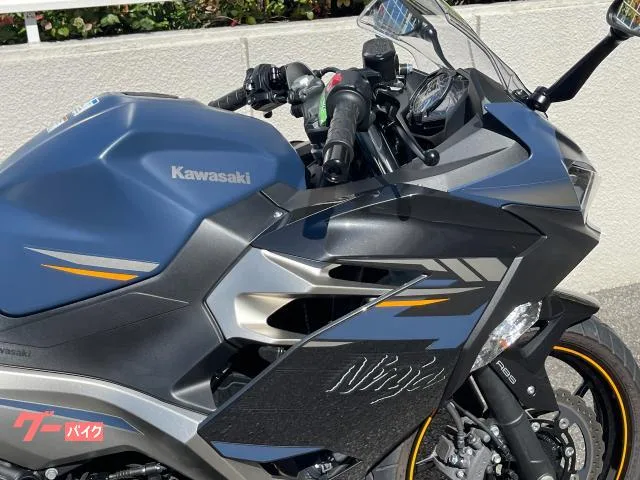 Kawasaki Ninja 250 2023 — миниатюра 3