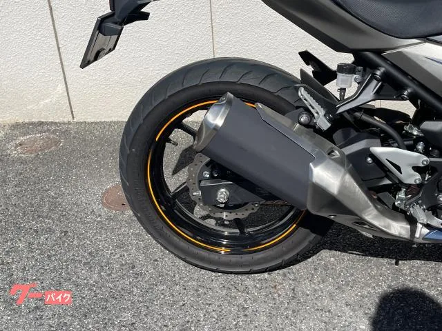 Kawasaki Ninja 250 2023 — миниатюра 4