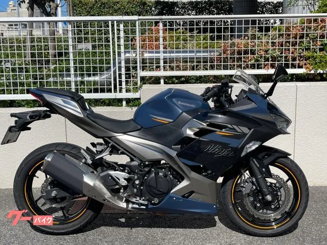 Kawasaki Ninja 250 2023 — фото 1, купить с доставкой в Москву