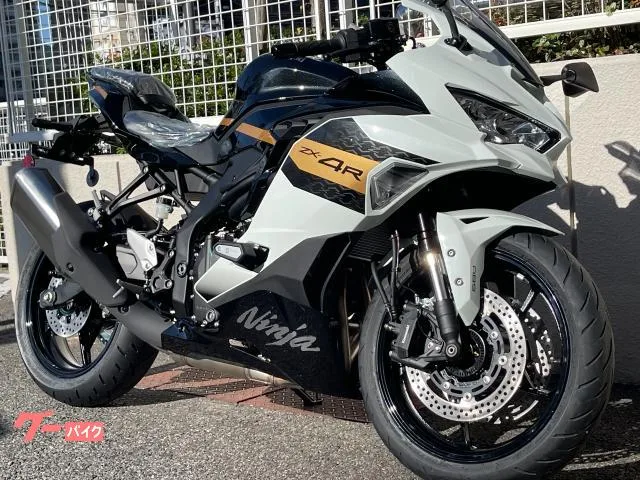 Kawasaki Ninja ZX-4R SE 2026MY - 2026 — миниатюра 2