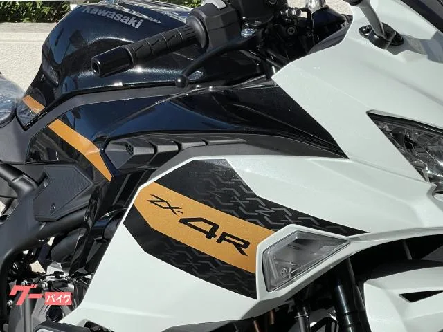 Kawasaki Ninja ZX-4R SE 2026MY - 2026 — миниатюра 3