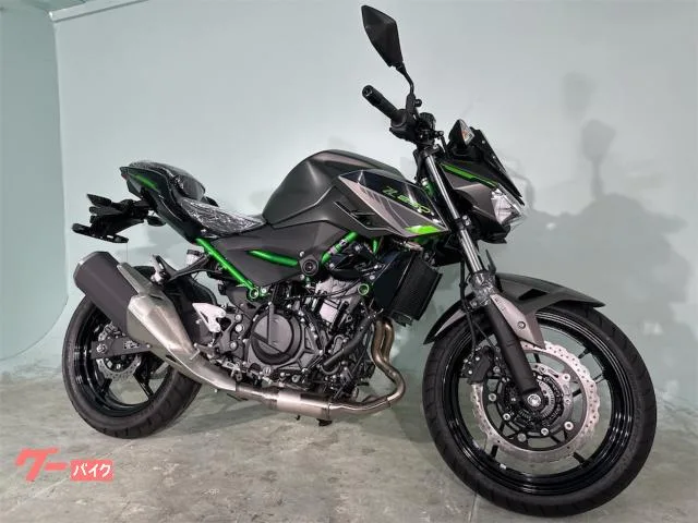 Kawasaki Z250 1 2024 — миниатюра 2