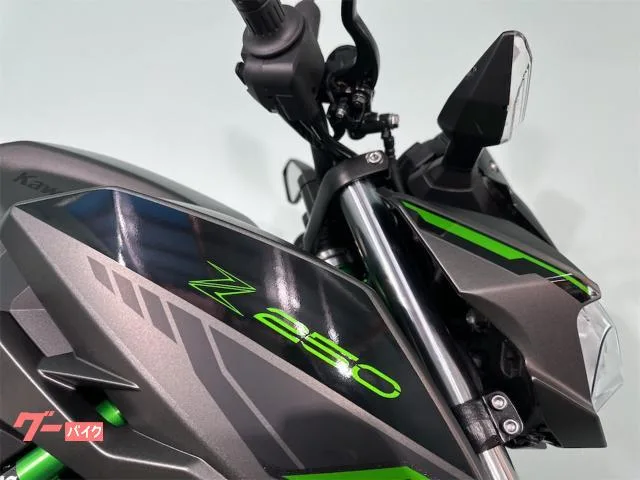 Kawasaki Z250 1 2024 — миниатюра 5
