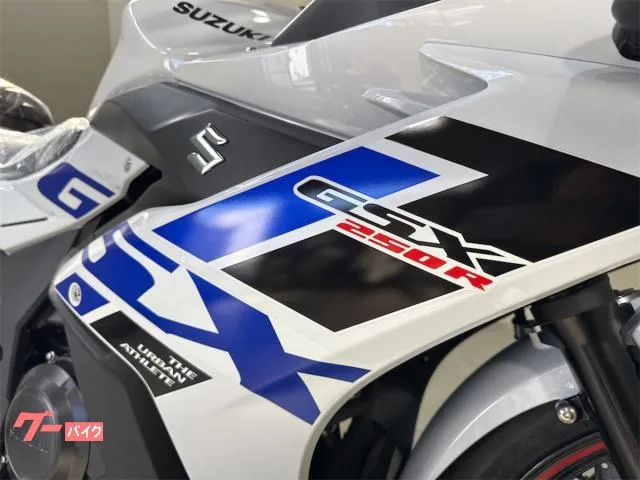 Suzuki GSX250R 2024 1 2024 — миниатюра 2